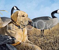 Hi-Look Microfiber Cleaning Cloth - In His Prime