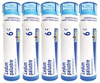 Boiron Ledum Palustre 6C (Pack of 5), Homeopathic Medicine for Insect Bites