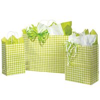 NW Apple Green Gingham Paper Shopping Bags - Assortment of 4 Sizes - 125 Pack