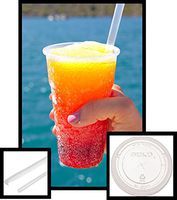 15 count 32 oz Clear PET Plastic Cup and Flat Straw Slotted Lid, Dart Solo w/Clear Giant Straws