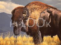 Hi-Look Microfiber Cleaning Cloth - Lone Ranger, Bison