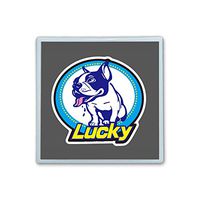 Contact Lens Box Holder Container Case Storage Eyecare Kit - Lucky Dog