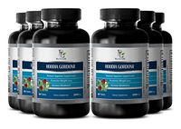 Burn Fat While You Sleep - Pure HOODIA GORDONII Extract 2000mg - Lose Weight Naturally - 6 Bottles 360 Tablets