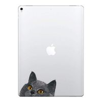 FINCIBO 5 x 5 inch Blue Gray British Shorthair Cat Removable Vinyl Decal Stickers for iPad MacBook Laptop (Or Any Flat Surface)