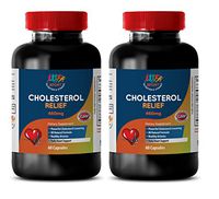 antioxidant Blend - Cholesterol Relief Formula - Cholesterol Detox - 2 Bottles (120 Capsules)