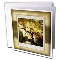 3dRose Bonsai Japanese Maple - Greeting Cards, 6 x 6", Set of 12 (gc_34033_2)