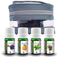 Aroma2Go Essential Oil Set with Travel Carry Case. Great for Aromatherapy Uses. 100% Pure Plant Based 5ML Size Bottles of Lavender, Sweet Orange, Peppermint and Pine Scotch Included.