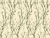 Rustic Natural Branches Printed Tissue Paper for Gift Wrapping, 24 Sheets