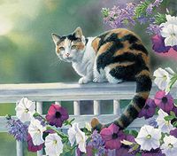 Cats 240 36b 1 Artwork Micro Fiber Cleaning Cloth