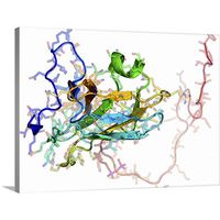 Viral dUTPase Enzyme, Molecular Model Canvas Wall Art Print, 40"x30"x1.25"
