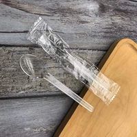 Light-Weight Disposable Plastic Spoons individual package 100 Pack (clear)