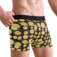 Lemon Pattern Men's Sexy Boxer Briefs Stretch Bulge Pouch Underpants Underwear
