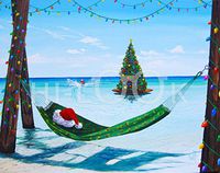 Hi-Look Microfiber Cleaning Cloth - Holiday Hammock