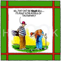 Hi-Look Microfiber Cleaning Cloth - Can't be your Ball
