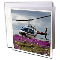 3dRose A Helicopter Lands In a Field of Fireweed Greeting Cards, 6" x 6", Set of 12 (gc_11351_2)