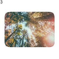 MG554zy0 Pineapple Dog Sunflower Bathroom Kitchen Door Anti-Slip Floor Mat Rug Carpet Pad Pineapple Dog Sunflower Bathroom Kitchen 3#