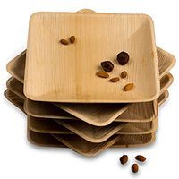Adaaya 10 Inch Square Disposable Palm Leaf Plate (pack of 25) Natural Ecofriendly Biodegradable Compostable Sturdy Ideal for Weddings Parties Homeuse Camping Birthday BBQ Catering Restaurant & More