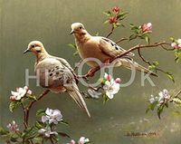 Hi-Look Microfiber Cleaning Cloth - Doves and Apple Blossoms
