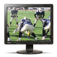 Orion Images Corp 17RCE 17-Inch Commercial Grade LCD Monitor (Black)