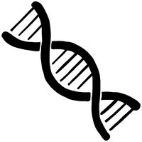 hBARSCI DNA Helix Vinyl Decal - 5 Inches - for Cars, Trucks, Windows, Laptops, Tablets, Outdoor-Grade 2.5mil Thick Vinyl - Black