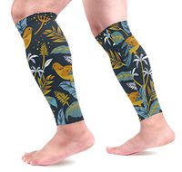 LEVEIS Birds Nature Calf Compression Sleeves 1 Pair, Leg Performance Support for Shin Splint Calf Pain Relief Men & Women Guards Sleeves for Running Cycling