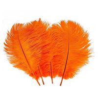 Happy Will 100 Pcs 15-20cm Real Natural Ostrich Feathers Great Decorations for Wedding Party (Orange)