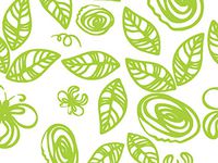 All Occasion Cello Gift Wrap - 40" x 100' - Spring Bliss