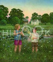 Hi-Look Microfiber Cleaning Cloth - Fireflies