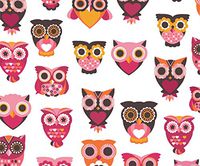 GoOpticians Glasses Cleaning Microfiber Cloth Cute Owl Spectacle Lens Microfibre Cleaner 6" x 7"