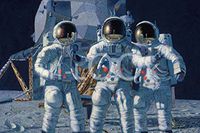 Hi-Look Microfiber Cleaning Cloth - Fantasy