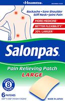 Salonpas Pain Relief Patches, Large, 6 Count - Pack of 10