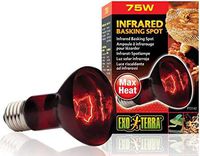 Exo Terra HeatGlo Infrared Spot Lamp (75 W)