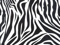 10ct Animal Print Tissue Paper 20"x30" Sheets Gift Wrap Leopard Zebra Paw Giraffe (Zebra Stripes) nfLG1682