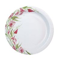 Nicole Home Collection 48 Count Everyday Paper Plate, 7-Inch, Pink Floral