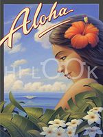 Hi-Look Microfiber Cleaning Cloth - Aloha