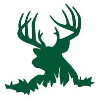 ANGDEST Deer (Green) (Set of 2) Premium Waterproof Vinyl Decal Stickers for Laptop Phone Accessory Helmet Car Window Bumper Mug Tuber Cup Door Wall Decoration