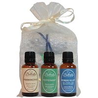 Fall & Winter Essential Oil Set: Peppermint, Frankincense & Robbers' Relief
