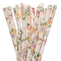 Biodegradable Paper Straws White (25)