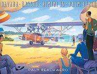 Hi-Look Microfiber Cleaning Cloth - Palm Beach Aero