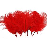 Home Decor Ostrich Feathers 10-15cm Pack of 50pcs (Red)