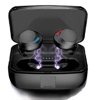 2019 True TWS 6d Stereo Sound Wireless Earbuds ipx8 Waterproof Bluetooth 5.0 Headphones tw Earphone with Mic, Smart Touch Control, 3500mAh Charging Case for iOS and Android