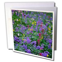 3dRose Summer Flowers Send Forth a Riot of Color Mt. Rainier NP Washington Greeting Cards, Set of 12 (gc_191058_2)