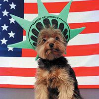 New Yorkie 240 27a 1 Artwork Micro Fiber Cleaning Cloth