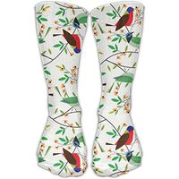 Unisex Classics Socks Birds Singing Athletic Stockings 30cm Long Sock One Size