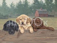 Hi-Look Microfiber Cleaning Cloth, dog design - Looking for Action