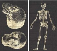 HomArt Large Decorative Infirmerie General Matches