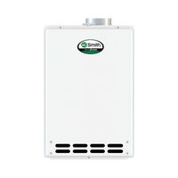 AO Smith ATI-310-P Non-Condensing Residential/Light Commercial Tankless Heater