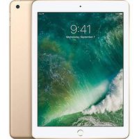 Apple iPad with WiFi 32GB, Gold (2018 Model)