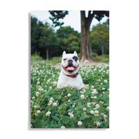 Custom Metal Wall Décor -16x24