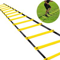 Teenitor 12 Rung Agility Ladder Speed Ladder Training Ladder for Soccer, Speed, Football Fitness Feet Training Carry Bag